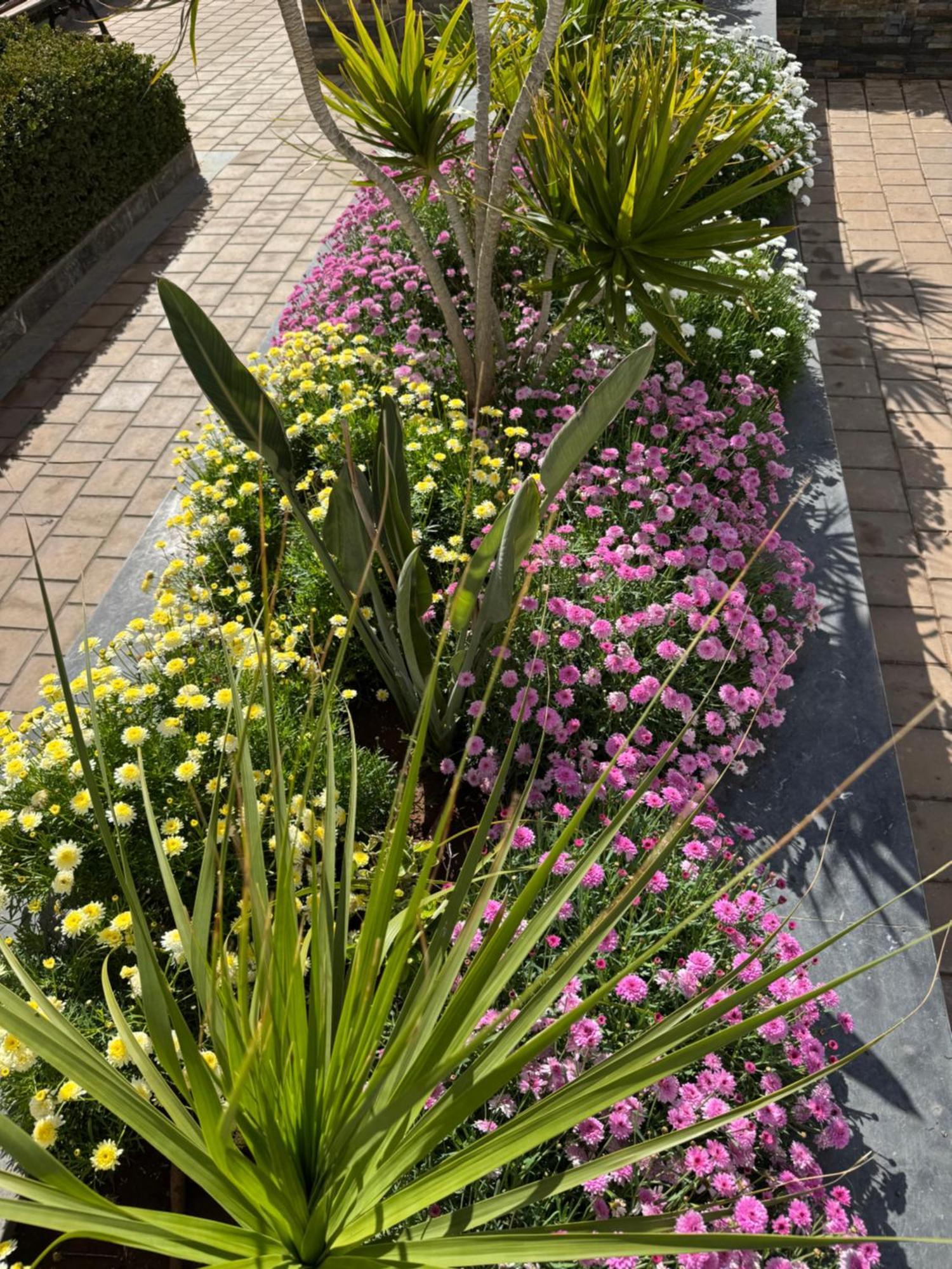 Luxueux Casa Nearshore * Casablanca